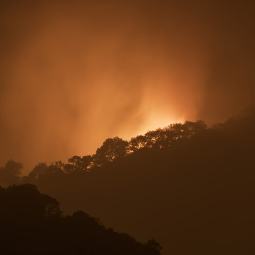 The Loma Fire of 2016 illuminates a stand of trees during the early morning hours